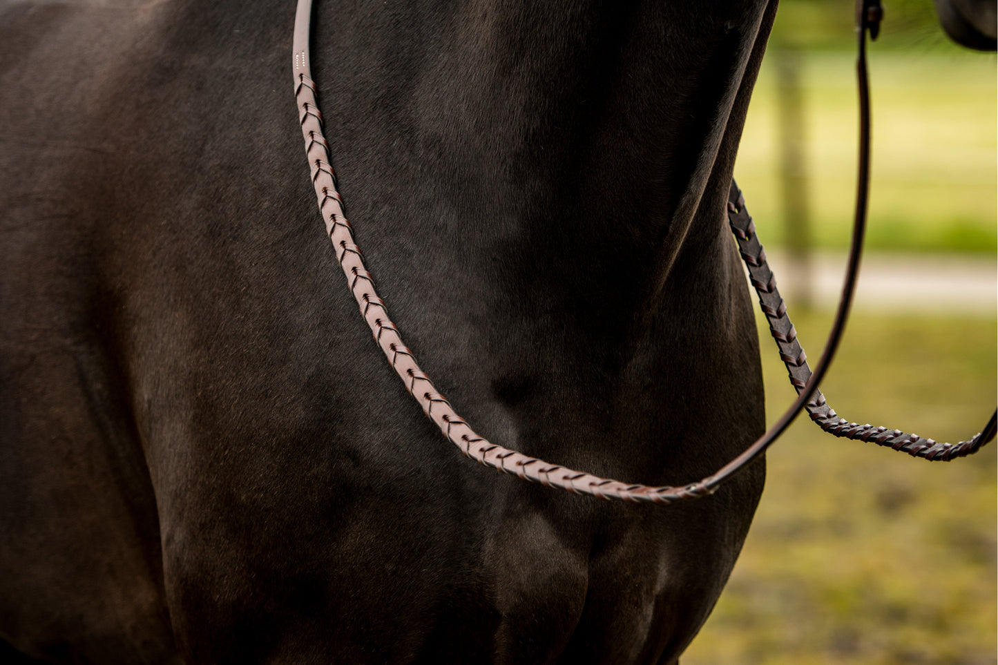 TRUST Hunter reins Braided zilveren gespen Bruin