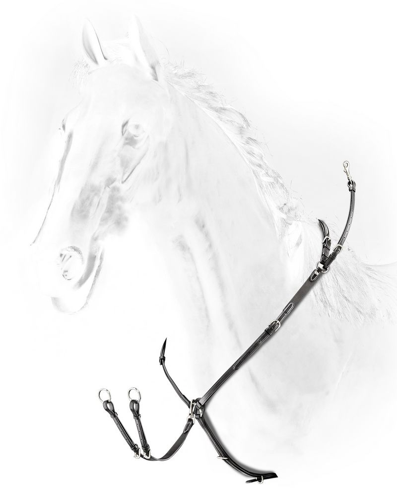 Equiline Borsttuig met brug zwart Zwart