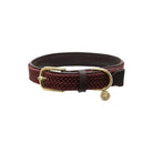 Kentucky Dogwar Gevlochten Nylon Hondenhalsband Bordeaux
