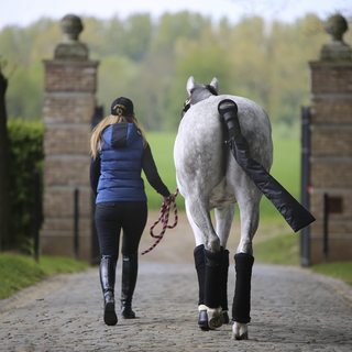 Kentucky horsewear wollen bandages stal en transport blauw