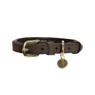 Kentucky Dogwear Halsband Velvet