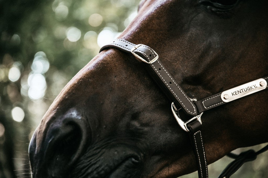 Kentucky Horsewear Lederen Halster Flexible