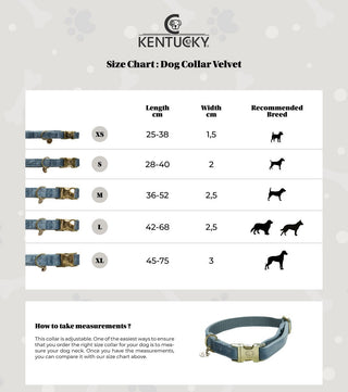 Collier pour chien Kentucky Dogwear Velvet