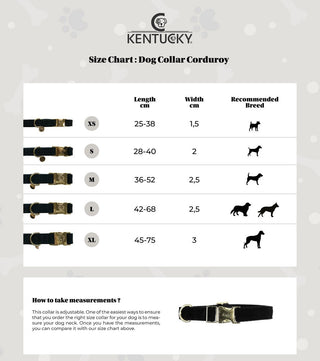 Kentucky Dogwear hondenhalsband Corduroy