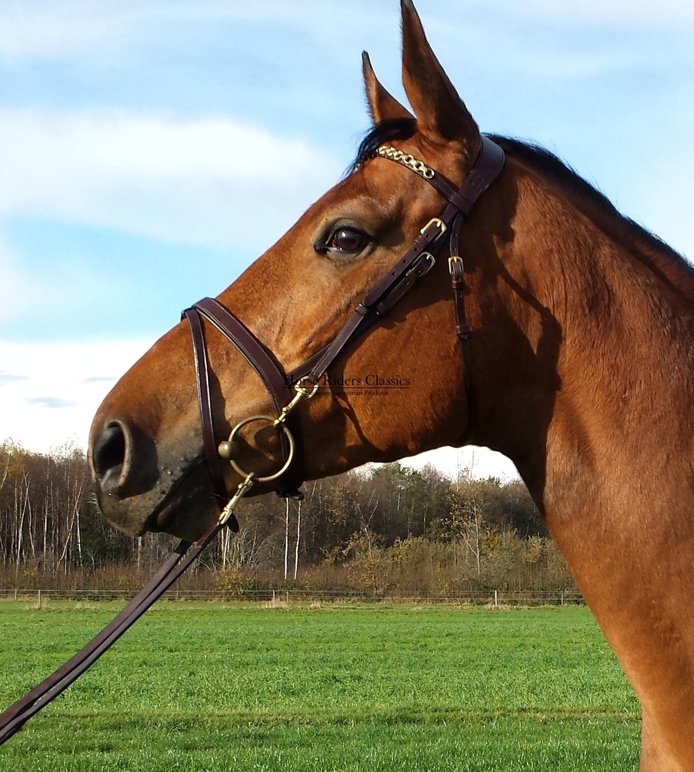 Equilook Hoofdstel Professional gecombineerde neusriem
