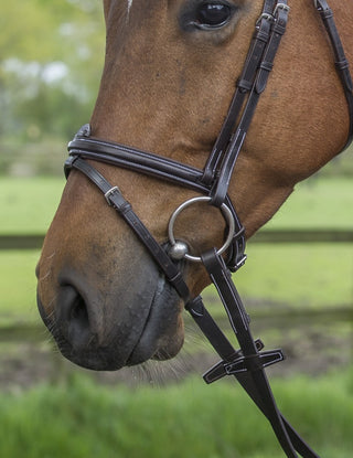 Sangle de nez combinée en brun égalité