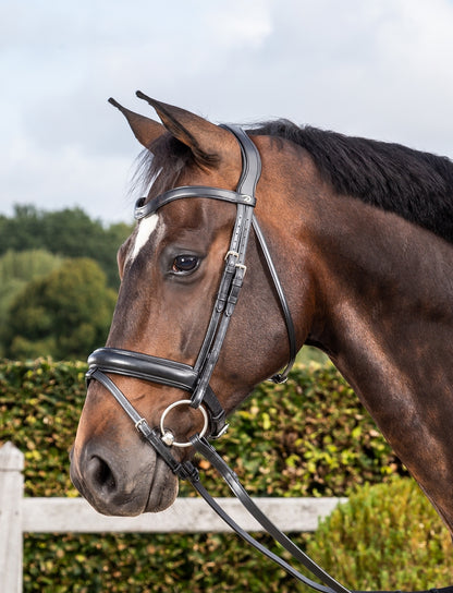 Dyon Dressage Hoofdstel met matte medium neusriem zwart