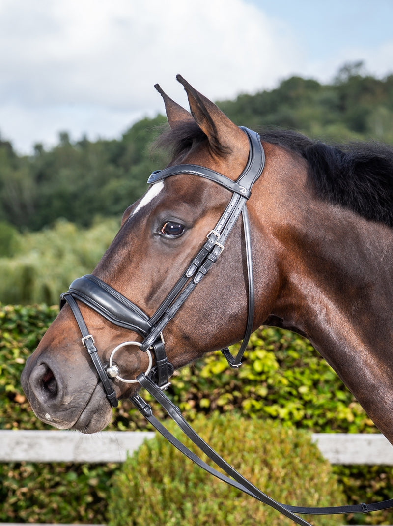 Dyon Dressage Hoofdstel met matte large aansnoer neusriem zwart